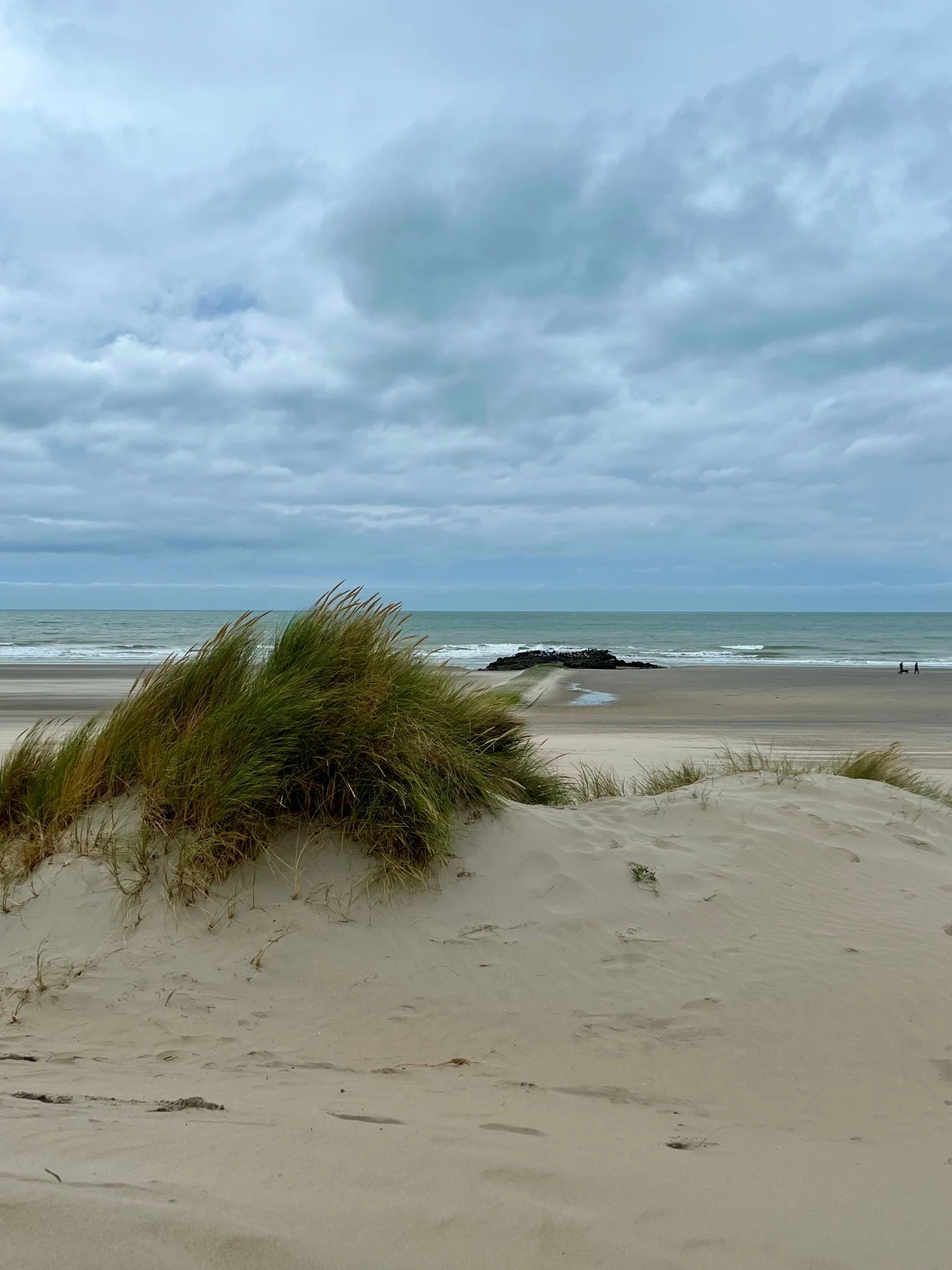 Dünen, Strandhafer und Meer unter einem weiten Himmel
